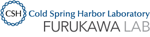 Furukawa Lab